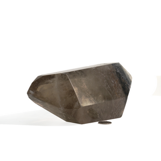 Smoky Quartz Double Terminated Point U#2 - 9" from The Rock Space