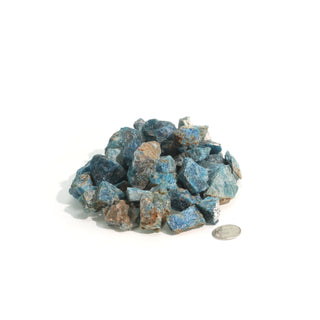 Apatite Blue Chips - Small from The Rock Space