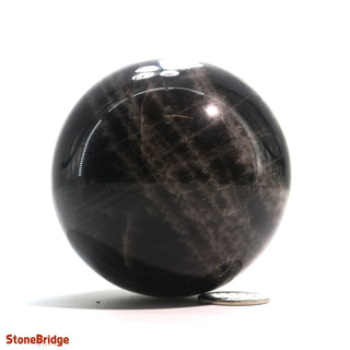 Smoky Quartz Dark Sphere - Small #3 - 2 1/4"    from The Rock Space