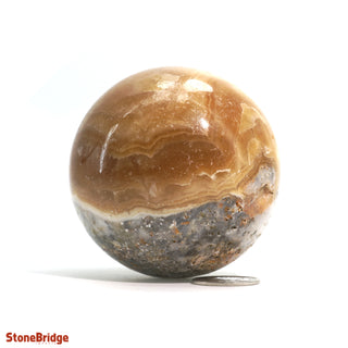 Calcite Golden Sphere - Small #2 - 2 1/4"    from The Rock Space