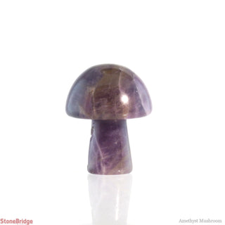 Amethyst Mushroom    from The Rock Space