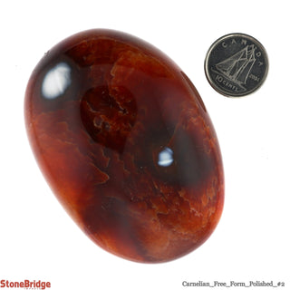 Carnelian Polished Free Form #2 - 100g to 150g    from The Rock Space