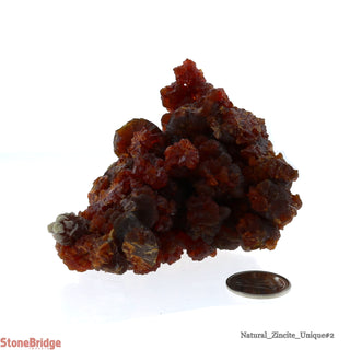 Zincite Mineral U#2 from The Rock Space