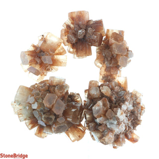 Aragonite Sputnik Cluster - 5 Pack    from The Rock Space