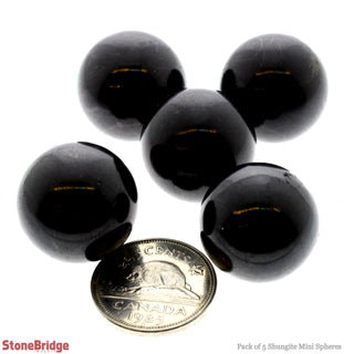 Shungite Sphere - 5 Pack    from The Rock Space