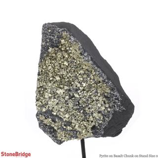 Pyrite on Basalt Specimen on Stand #1 from The Rock Space