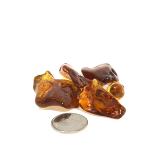 Amber Baltic E Tumbled Stones from The Rock Space