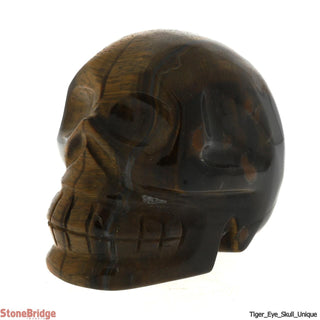 Tiger Eye Skull U#5    from The Rock Space