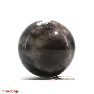 Smoky Quartz Dark Sphere - Extra Small #4 - 2"    from The Rock Space