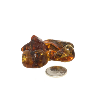 Amber Baltic E Tumbled Stones