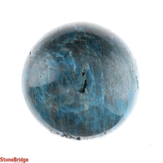 Apatite Blue Sphere - Small #1 - 2 1/4"    from The Rock Space