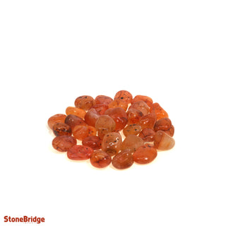 Carnelian B Tumbled Stones - Brazil Medium   from The Rock Space