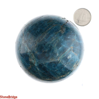 Apatite Blue Sphere - Small #3 - 2 1/4"    from The Rock Space