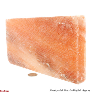 Himalayan Salt Plate - Cooking Slab - Type #4    from The Rock Space