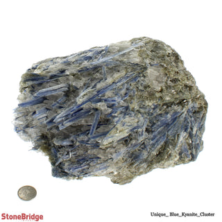 Blue Kyanite Cluster U#16 from The Rock Space