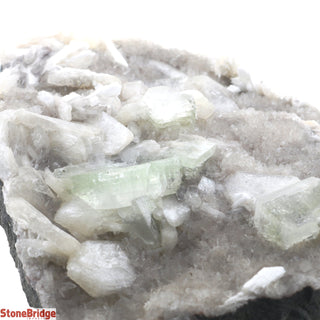 Zeolite on Basalt Cluster - APOPHYLLITE U#65    from The Rock Space