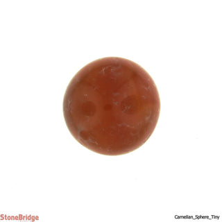 Carnelian Sphere - Tiny    from The Rock Space