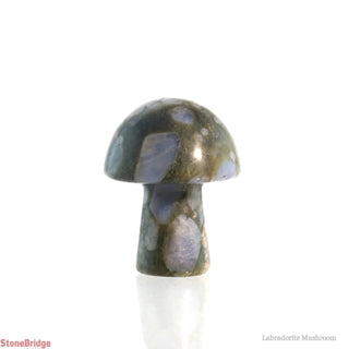 Labradorite Mushroom    from The Rock Space