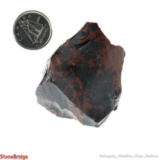 Obsidian Mahogany Chips - Medium    from The Rock Space