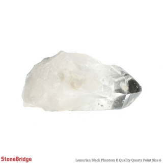 Lemurian Black Phantom Point #6    from Stonebridge Imports