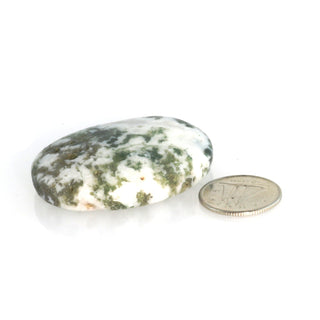 Green Moss Agate Worry Stone    from The Rock Space