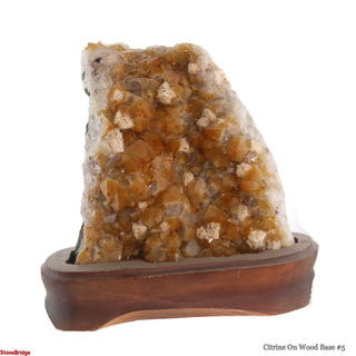 Citrine Cluster on Wood Base #5 - 9" from The Rock Space