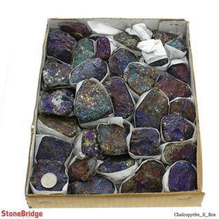 Chalcopyrite Box E - 25 to 45 pieces - 1 1/2" to 3 1/2"    from The Rock Space