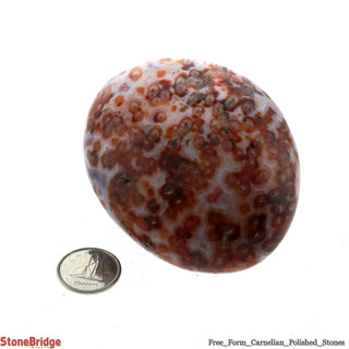 Carnelian Polished Free Form #4 - 230g to 280g    from The Rock Space