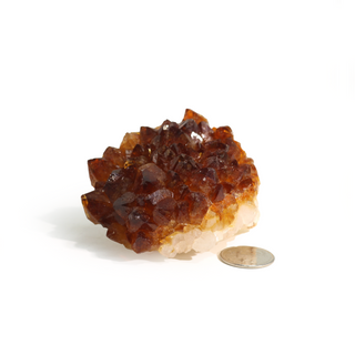 Citrine Cluster #1 - 1" to 2" from The Rock Space