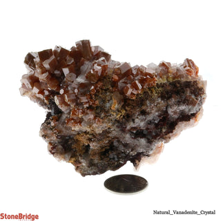 Vanadinite Rough Specimen U#1 - 3"    from The Rock Space