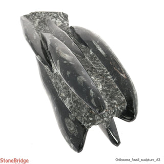 Orthoceras Fossil Sculpture #2 - 16"    from The Rock Space