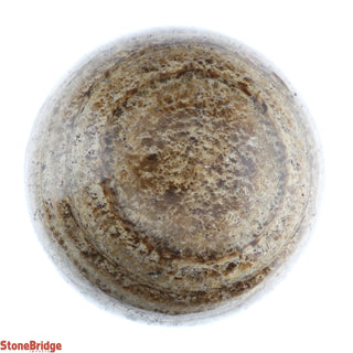 Aragonite Brown Sphere - Extra Small #4 - 2"    from The Rock Space