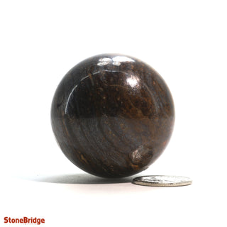 Bronzite Sphere - Extra Small #2 - 1 3/4"    from The Rock Space