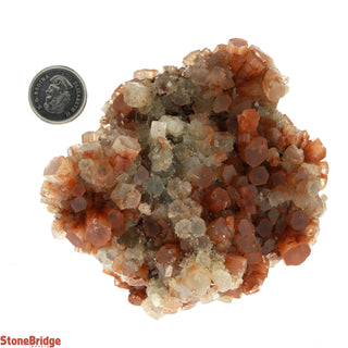 Aragonite Sputnik Cluster #6    from The Rock Space