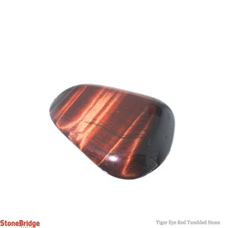 Red Tiger Eye Tumbled Stones - India    from The Rock Space