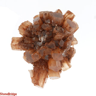 Aragonite Sputnik Cluster #3    from The Rock Space