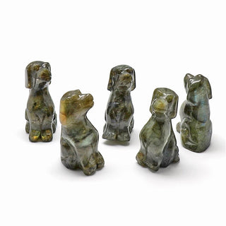 Puppy Carving - Assorted Stones    from The Rock Space