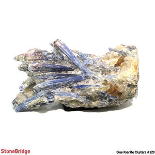 Blue Kyanite Cluster U#120 - 14" from The Rock Space