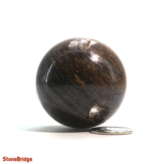 Bronzite Sphere - Extra Small #2 - 1 3/4" from The Rock Space