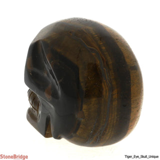 Tiger Eye Skull U#5    from The Rock Space