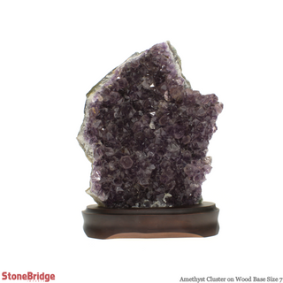 Amethyst On Wood Base #7    from The Rock Space