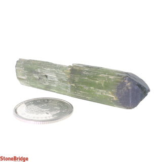 Green Tourmaline Polished Specimen U#1 - 48ct    from The Rock Space