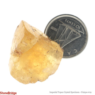 Imperial Topaz Specimen U#19 - 50.5ct    from The Rock Space