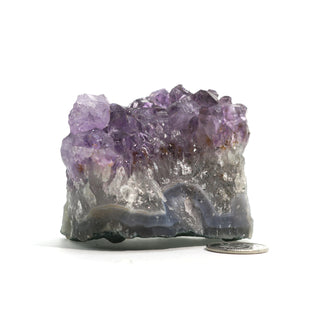 Amethyst Clusters #1 - 1" to 3" from The Rock Space