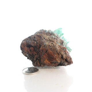 Kobyashevite Mineral Specimen U#05 from The Rock Space