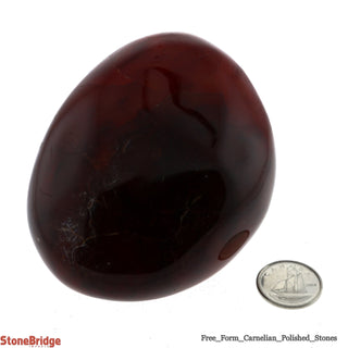 Carnelian Polished Free Form #5 - 280g to 400g    from The Rock Space