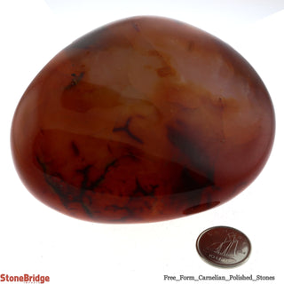 Carnelian Polished Free Form #5 - 280g to 400g    from The Rock Space