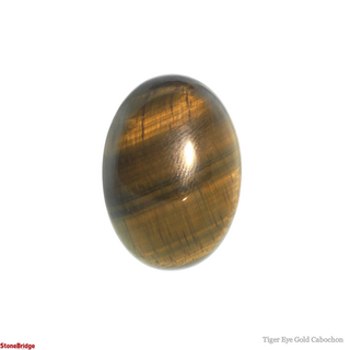 Tiger Eye Gold Cabochon #1    from The Rock Space