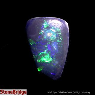 Black Opal Cabochon Gem Quality U#5 - 2ct    from The Rock Space