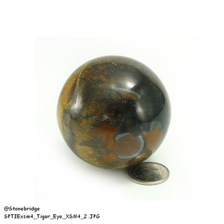 Tiger Eye Sphere - Extra Small #4 - 2"